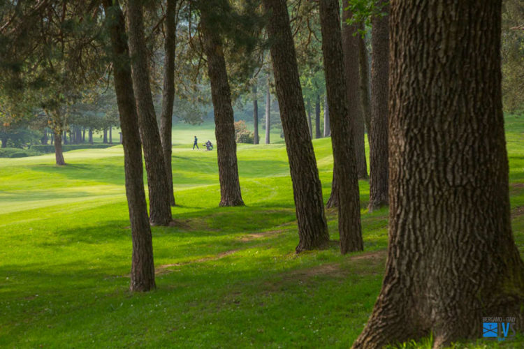 golf-tournament-IVS-2019-30-1030×687